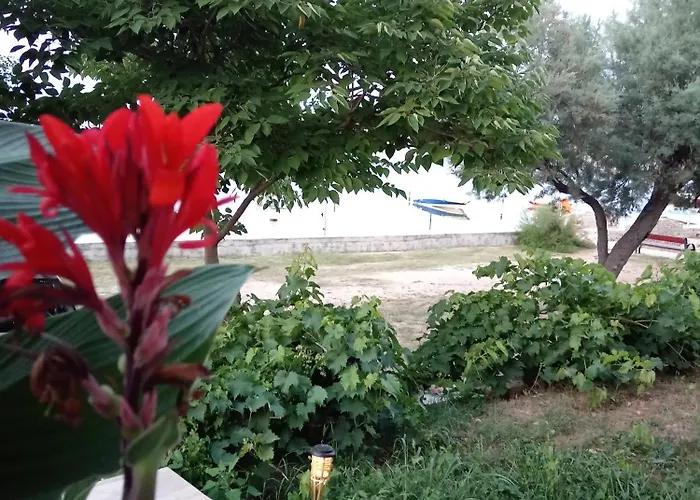 Apartamento Seaview Apartments, Ventura Nin